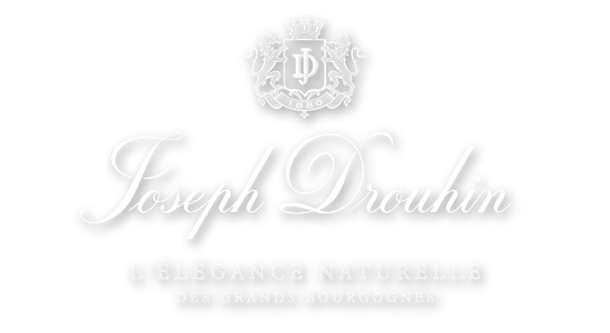 勃艮第权威的百年家族酒庄-  约瑟夫杜鲁安（Joseph Drouhin）到货